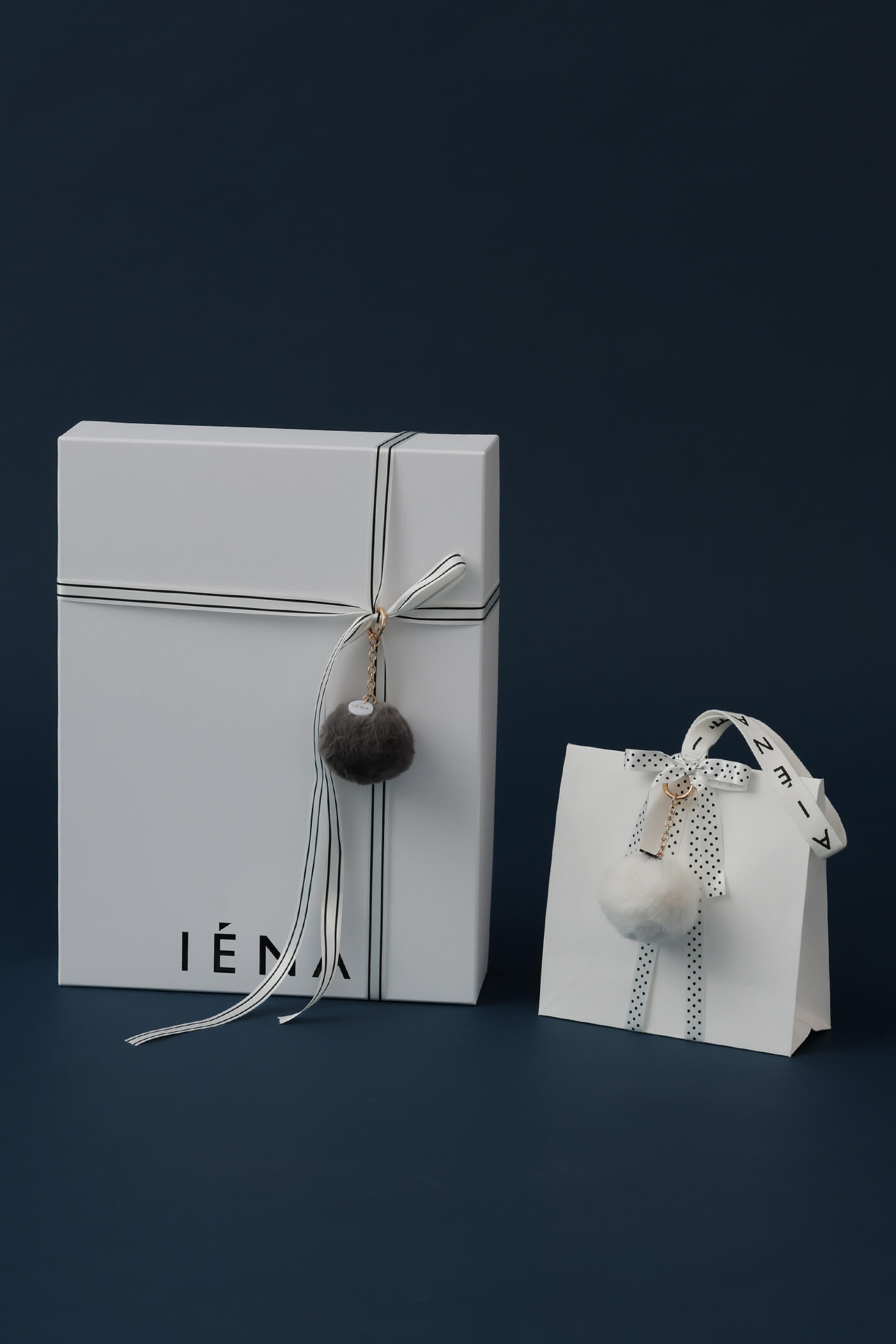 SEIKO × IÉNA