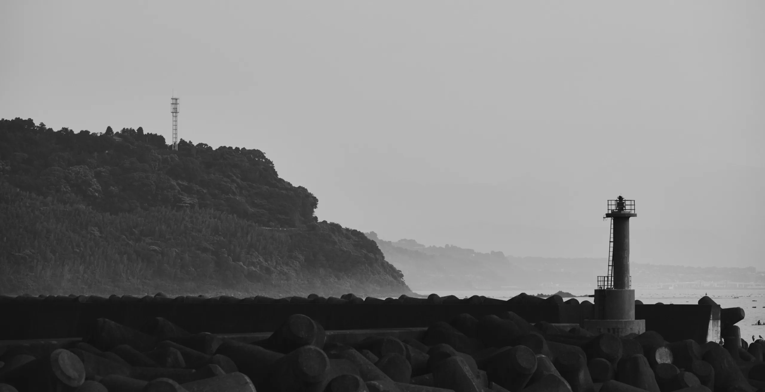 UNFOLLOW LOOK VISUAL